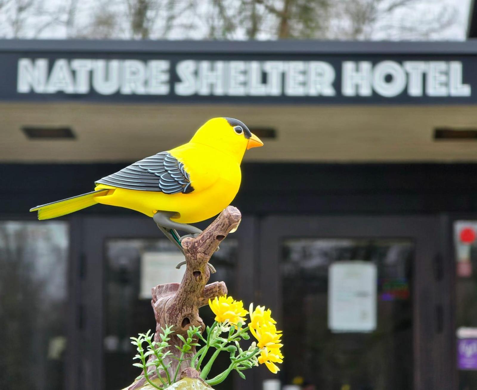 Nature Shelter Hotel Åsljunga المظهر الخارجي الصورة